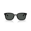 Ray-Ban 0RB4461D
