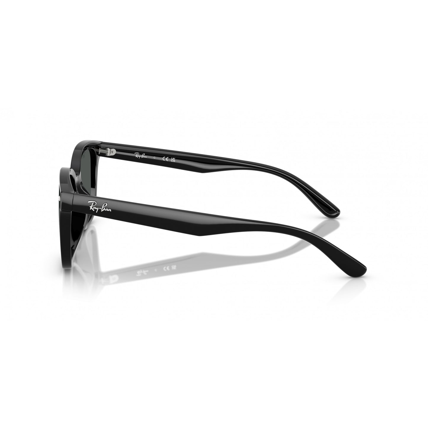Ray-Ban 0RB4461D