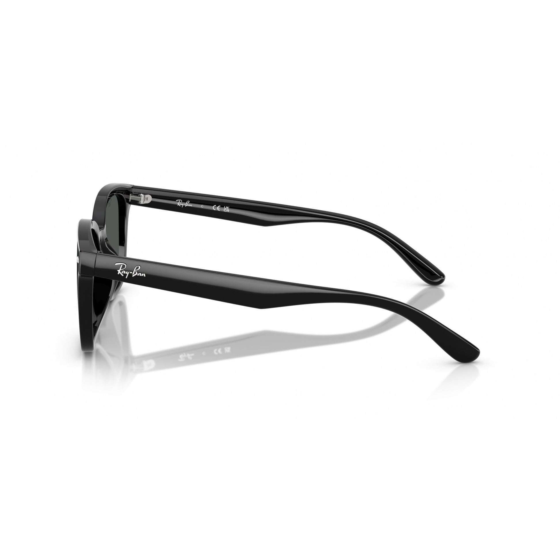 Ray-Ban 0RB4461D