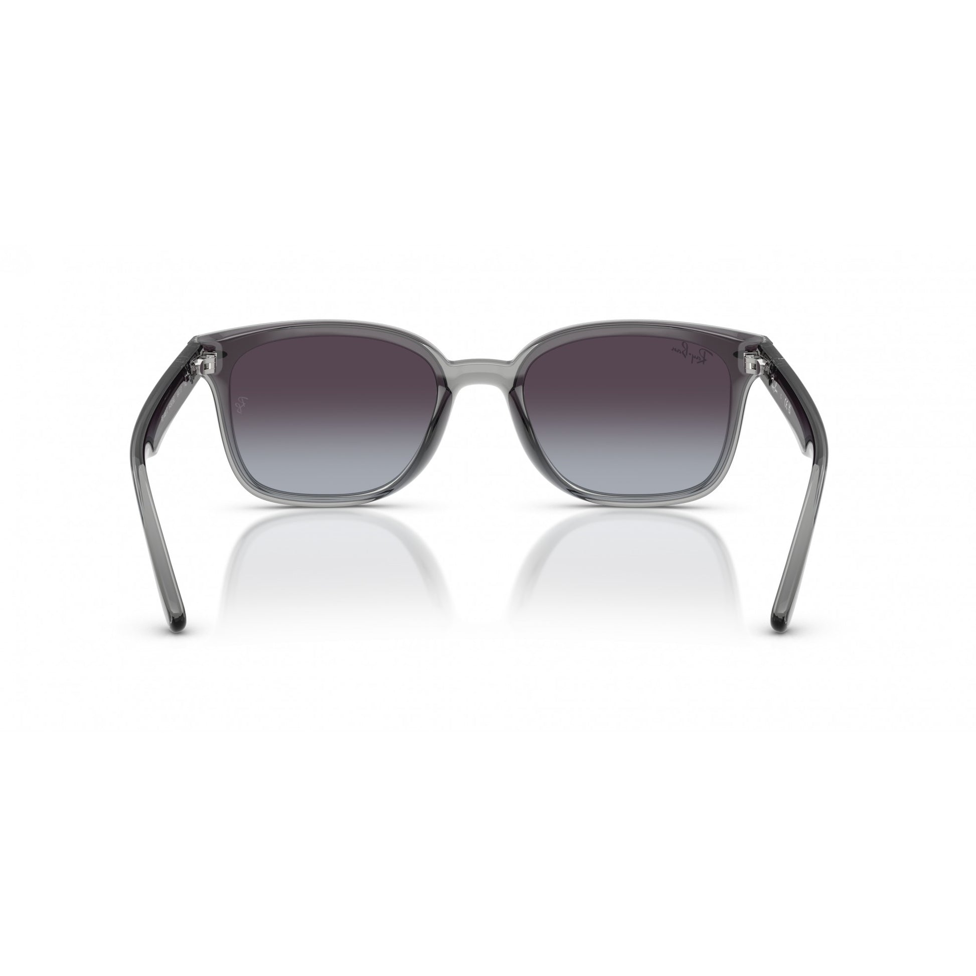 Ray-Ban 0RB4461D