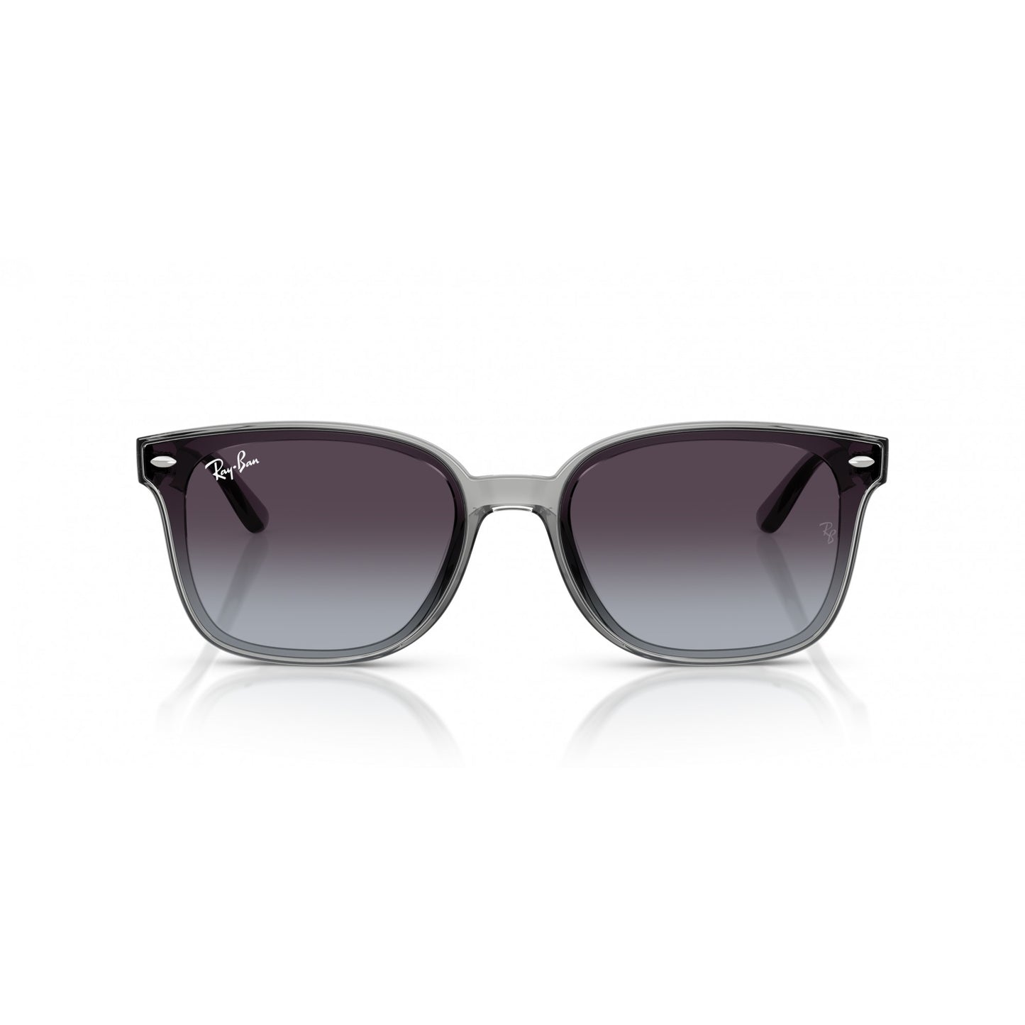 Ray-Ban 0RB4461D