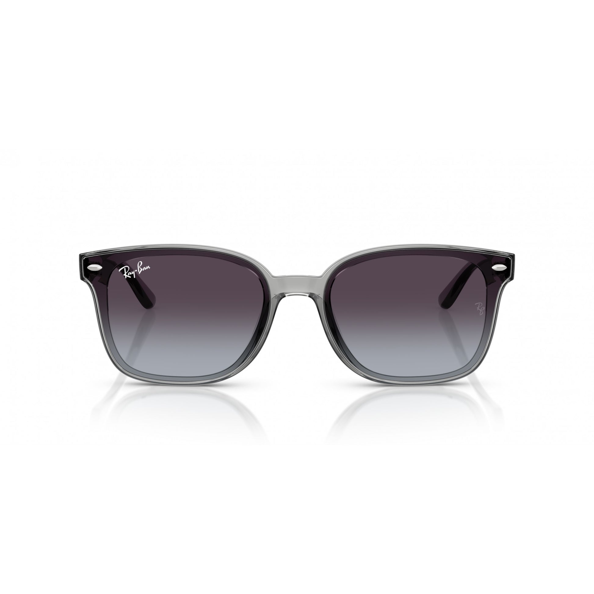 Ray-Ban 0RB4461D