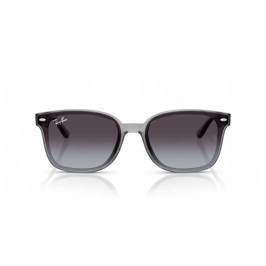 Ray-Ban 0RB4461D