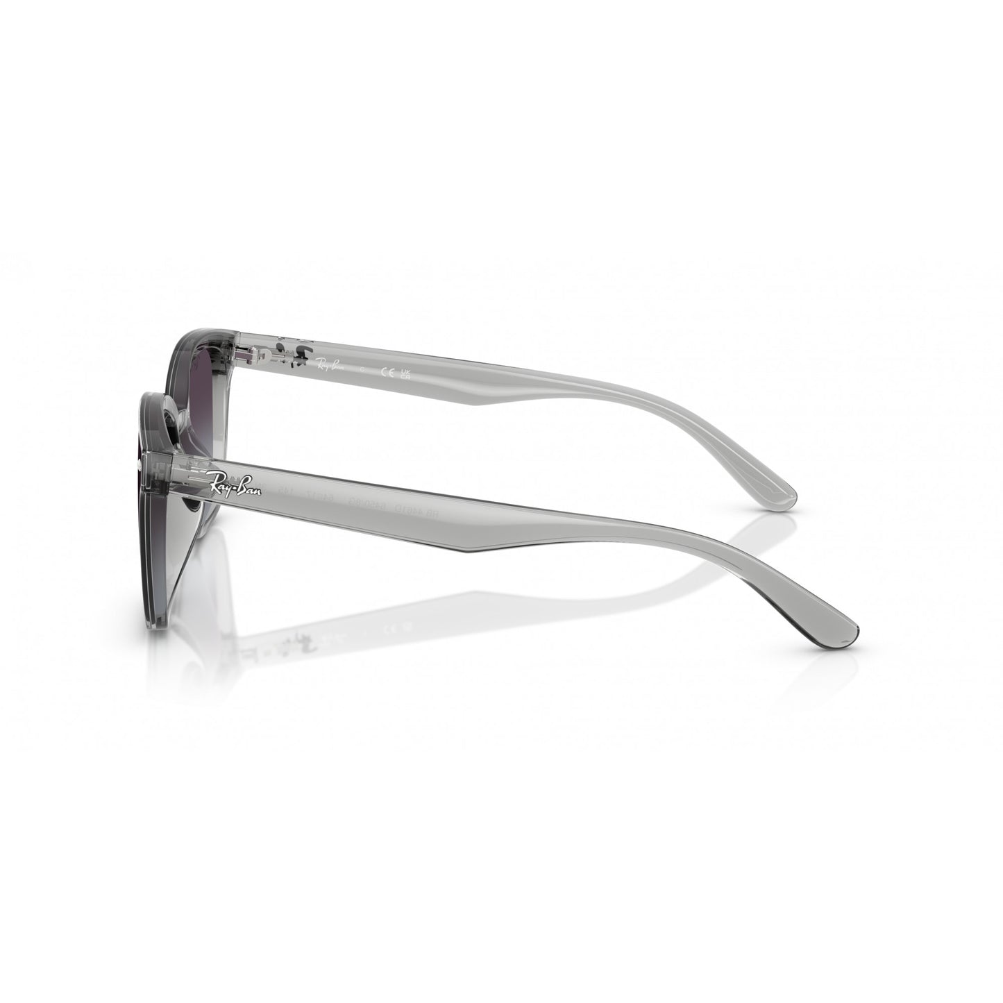 Ray-Ban 0RB4461D