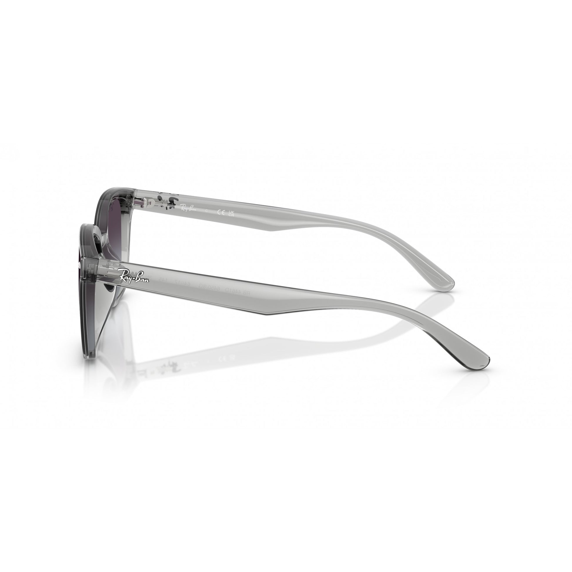 Ray-Ban 0RB4461D