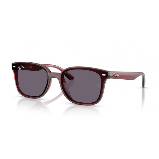 Ray-Ban 0RB4461D