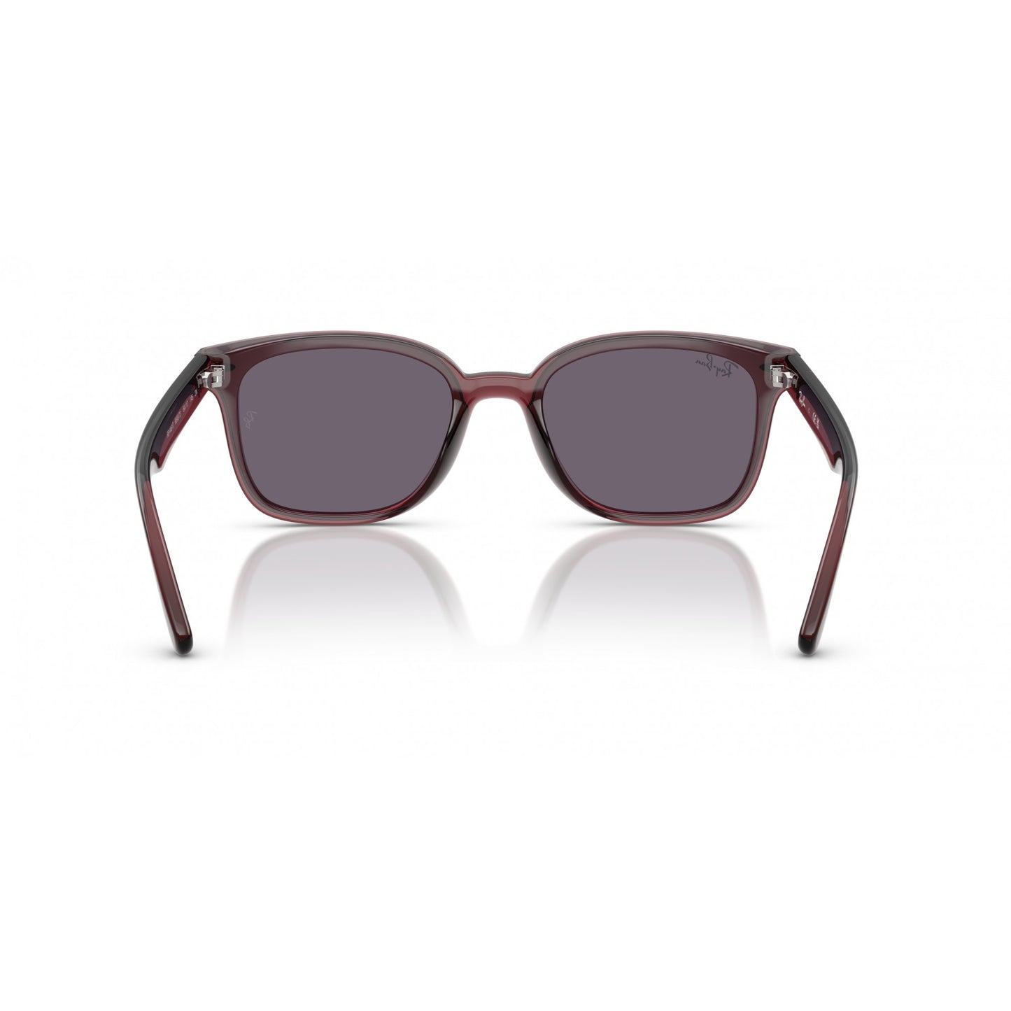 Ray-Ban 0RB4461D