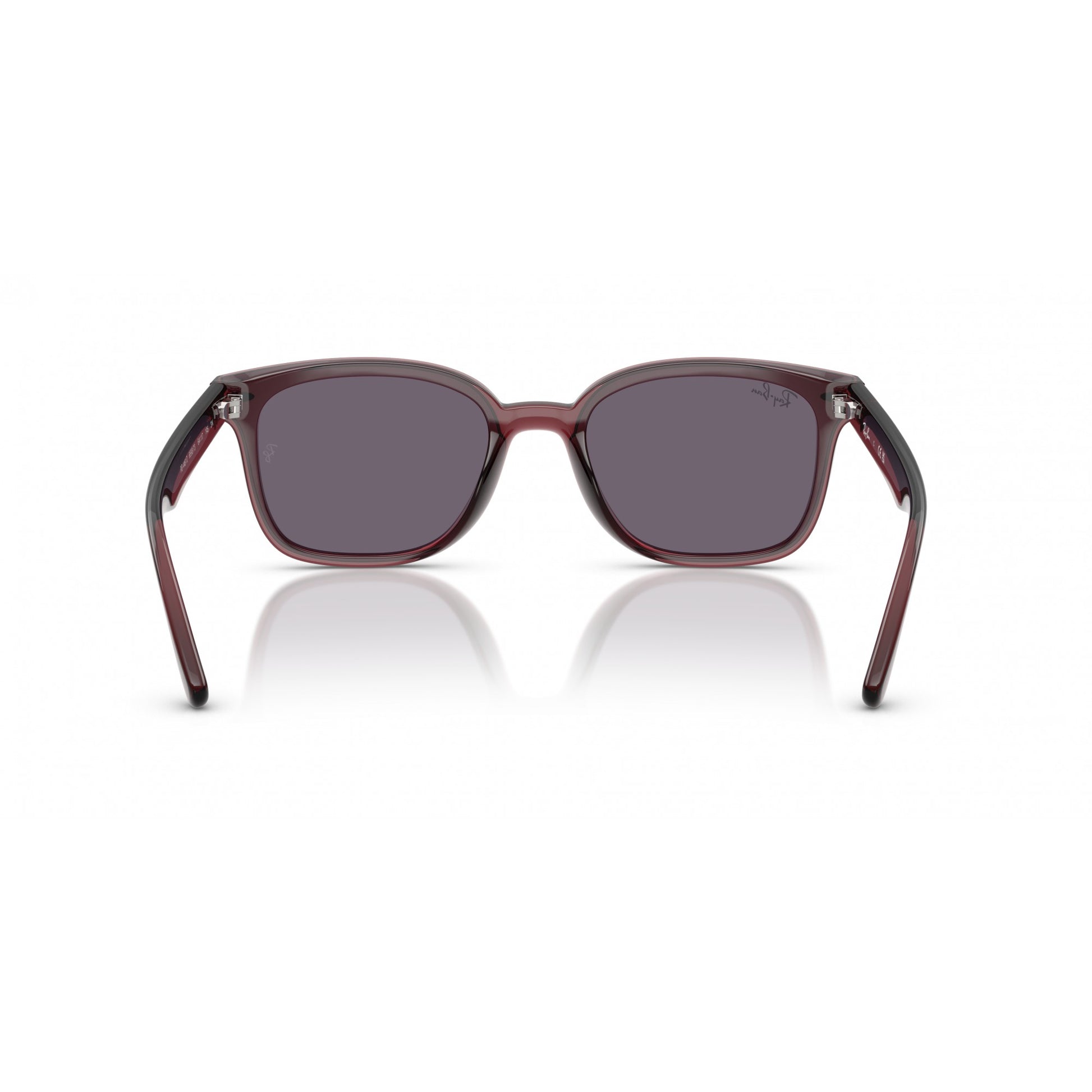 Ray-Ban 0RB4461D