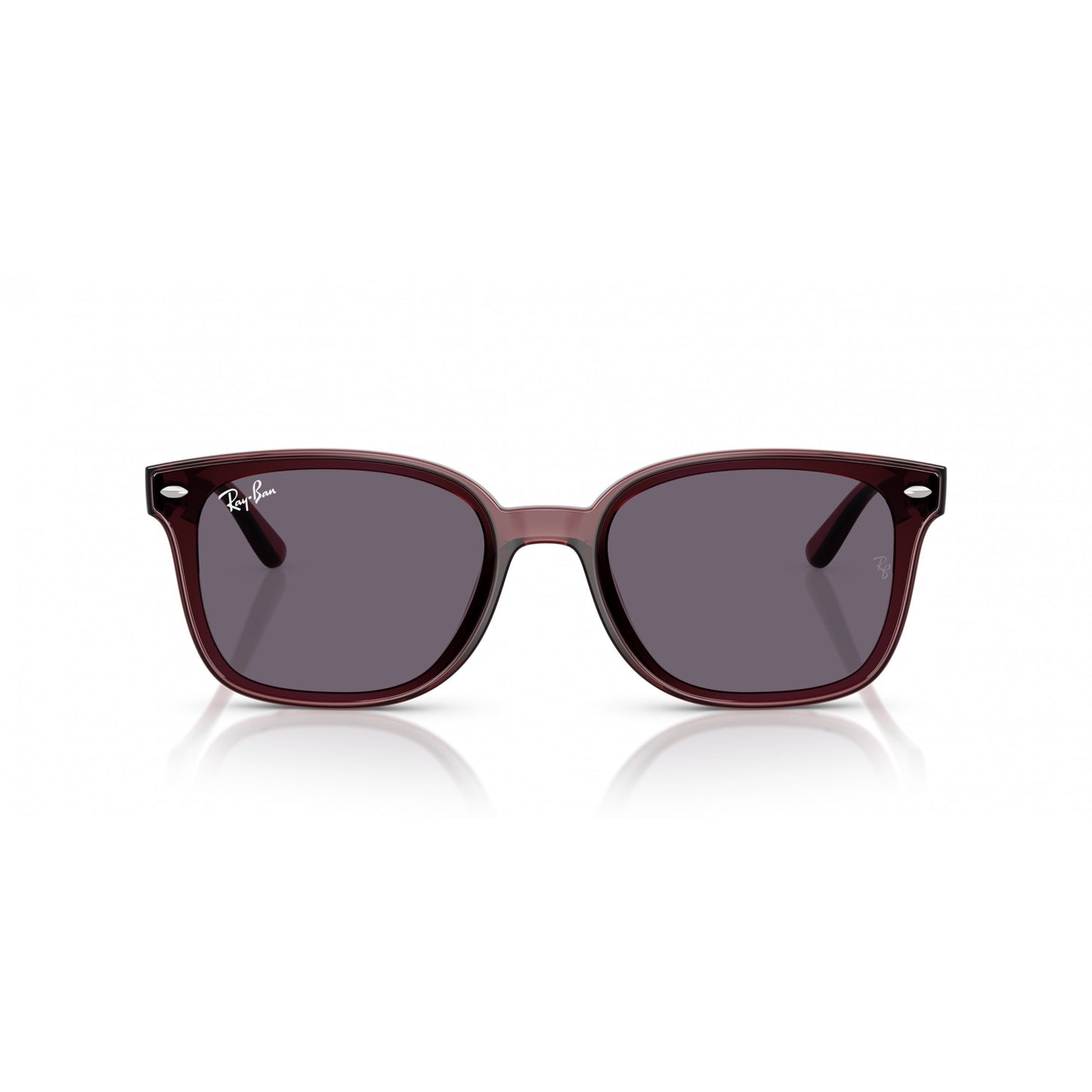 Ray-Ban 0RB4461D