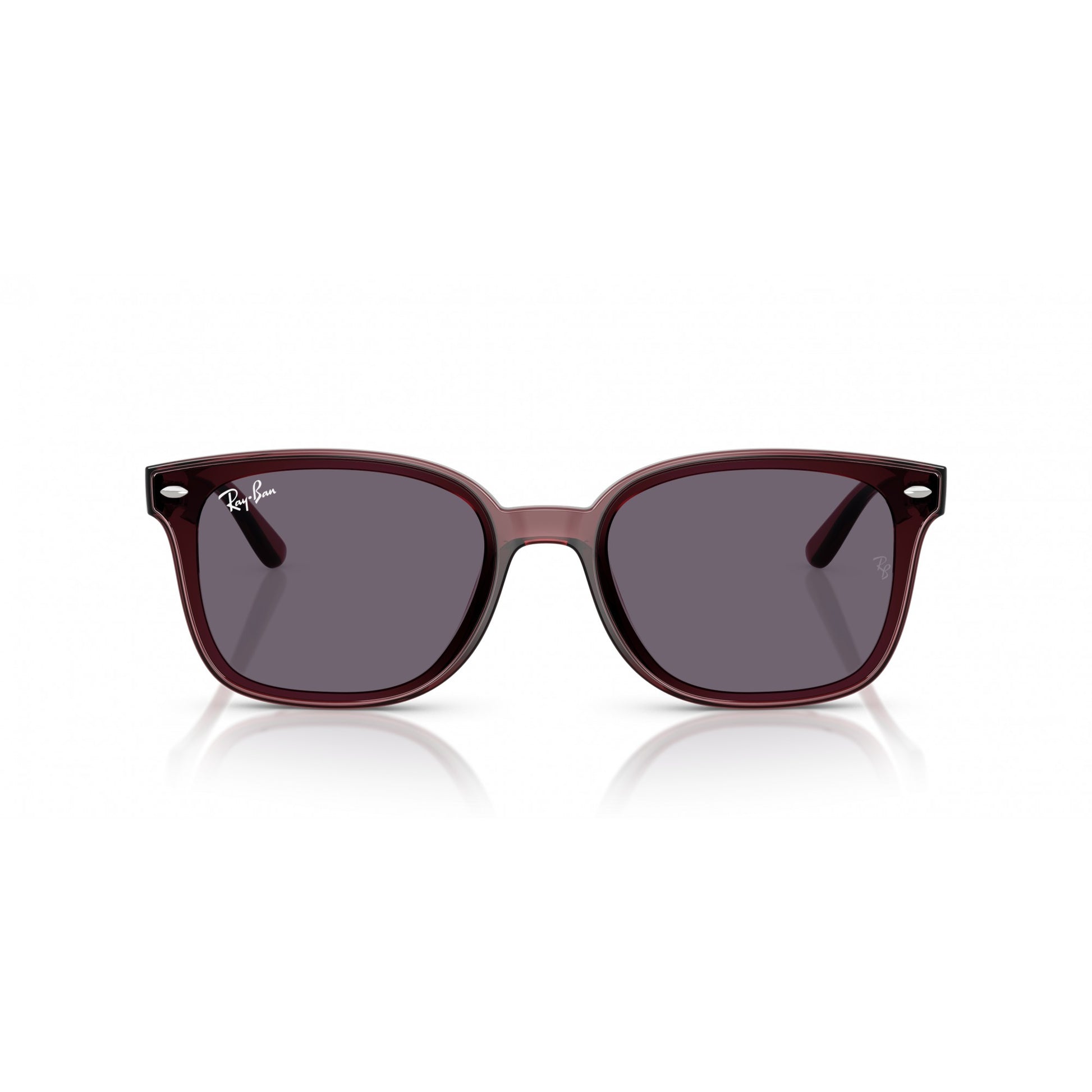 Ray-Ban 0RB4461D
