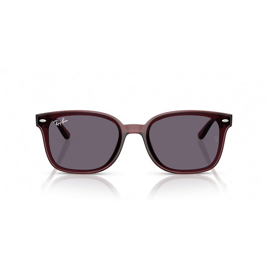 Ray-Ban 0RB4461D
