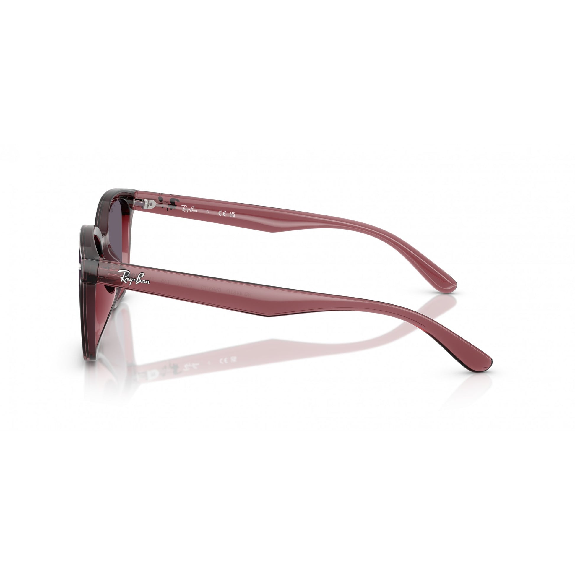 Ray-Ban 0RB4461D