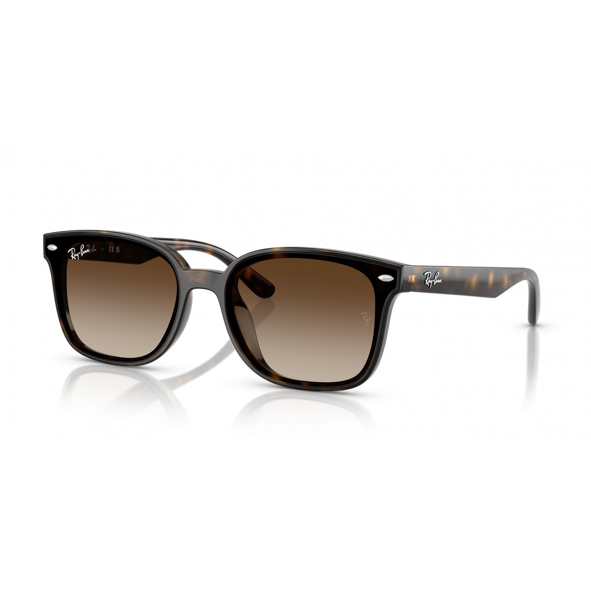 Ray-Ban 0RB4461D