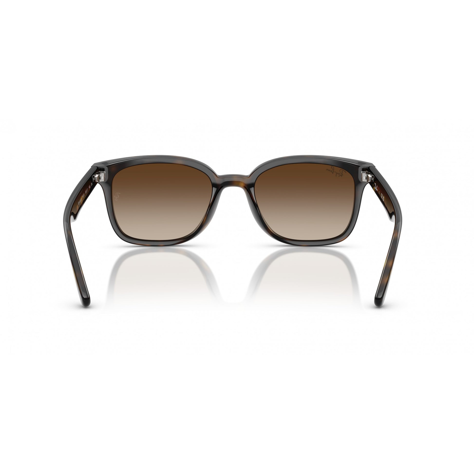 Ray-Ban 0RB4461D
