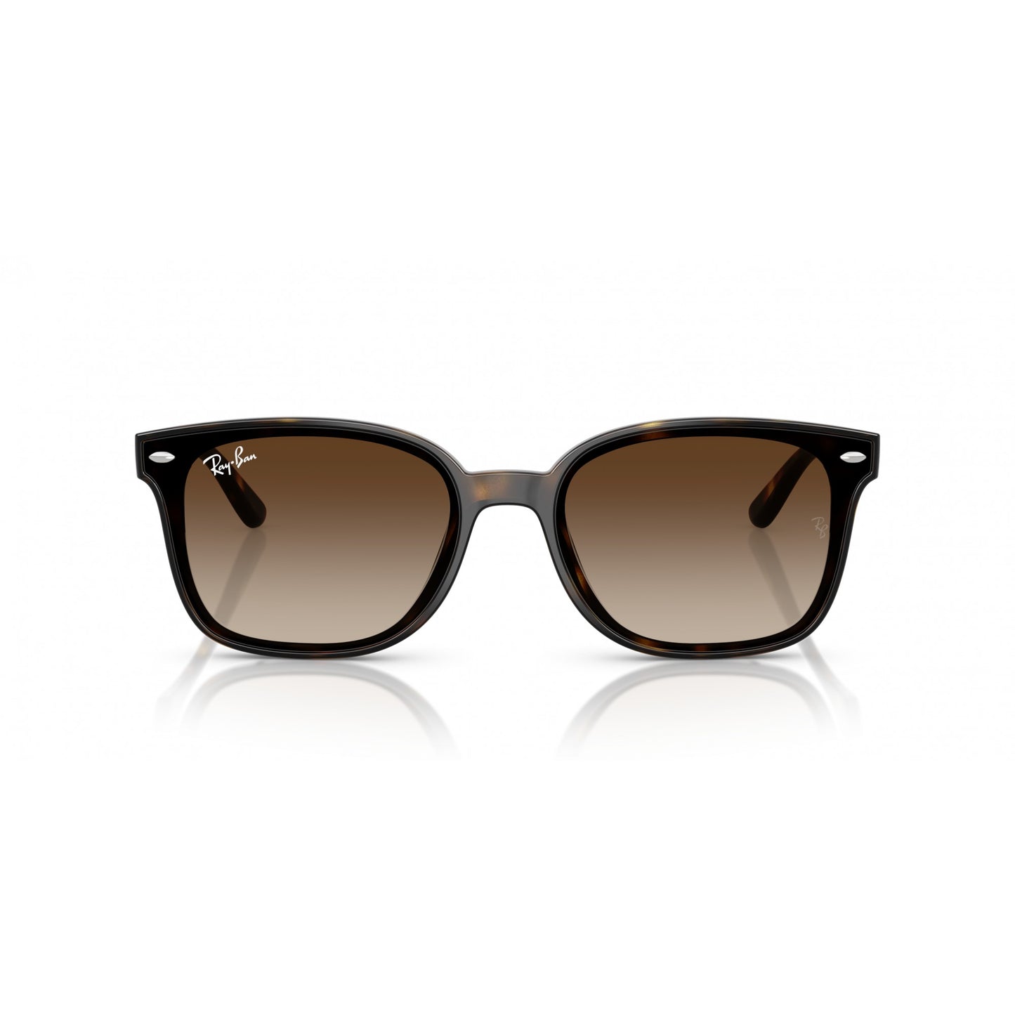 Ray-Ban 0RB4461D
