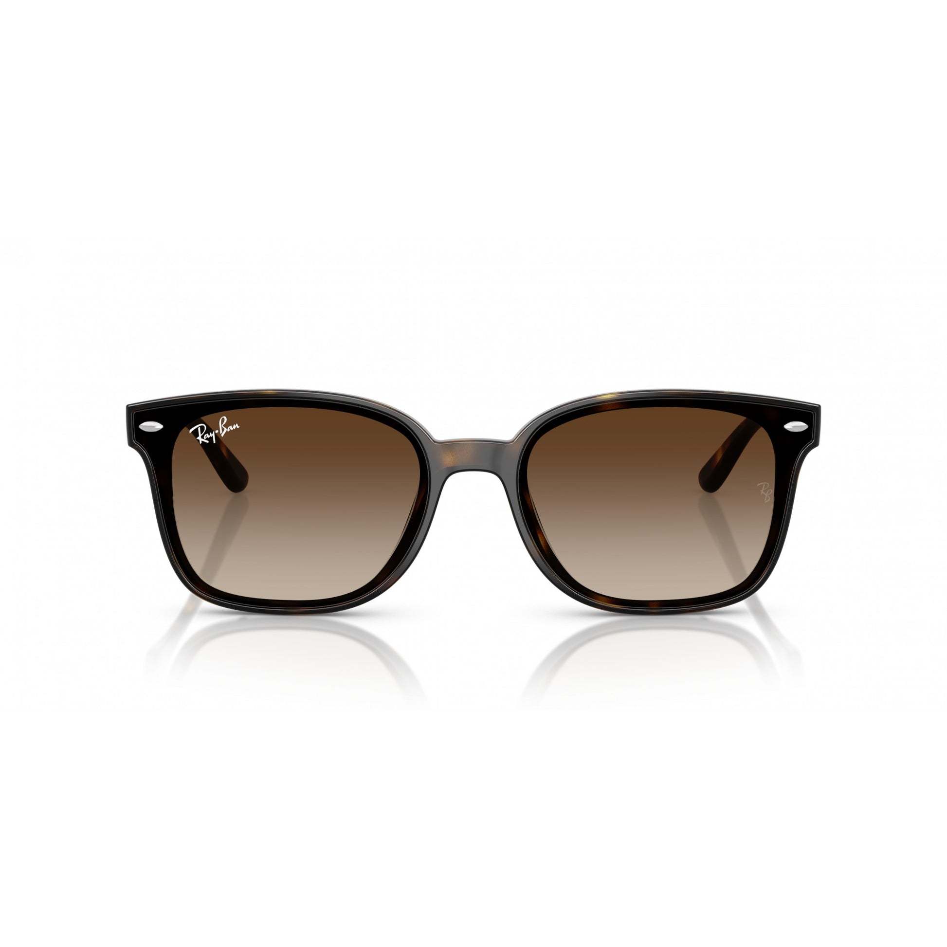 Ray-Ban 0RB4461D