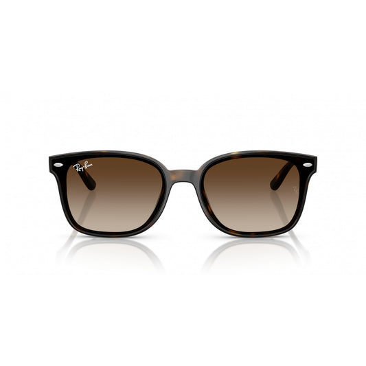 Ray-Ban 0RB4461D