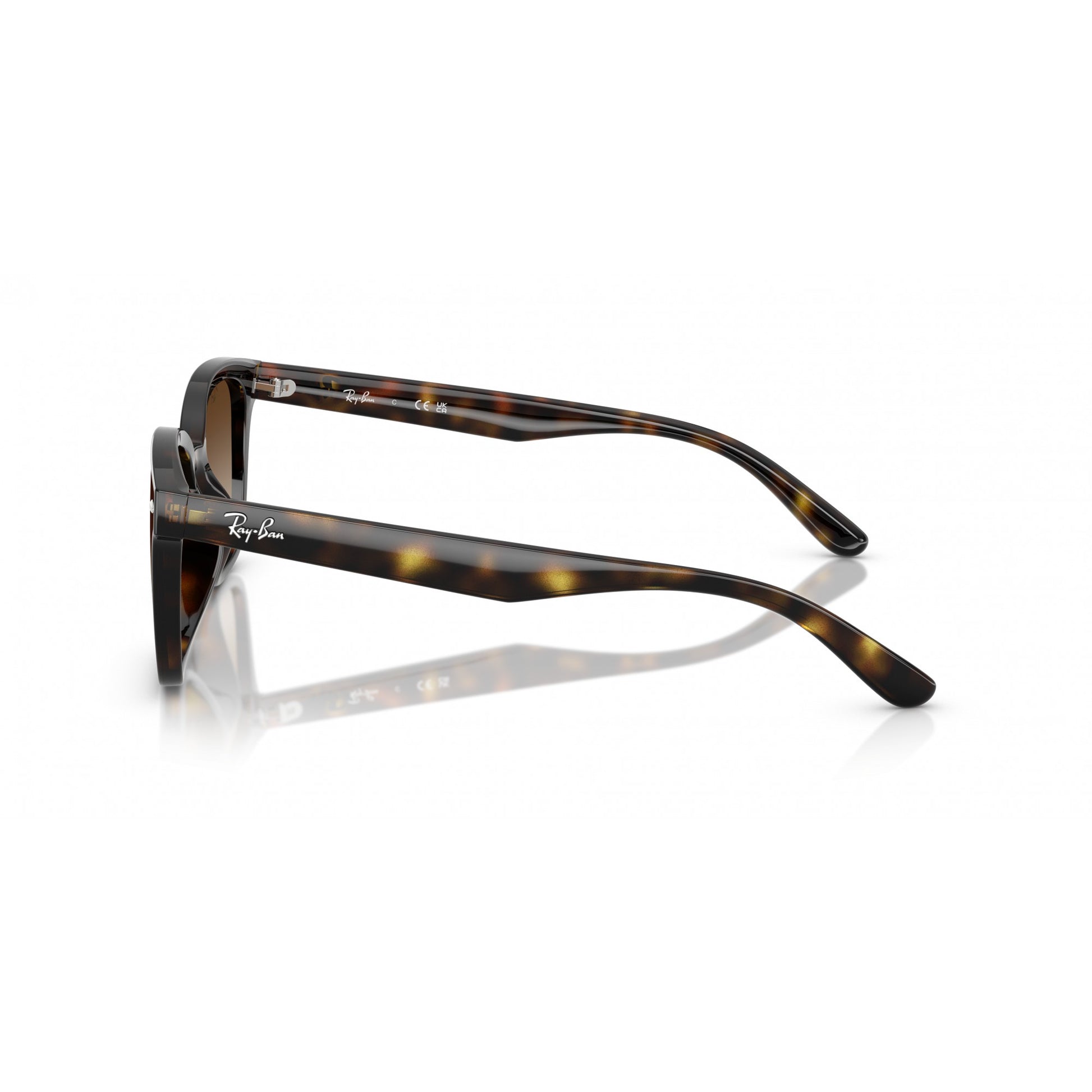 Ray-Ban 0RB4461D