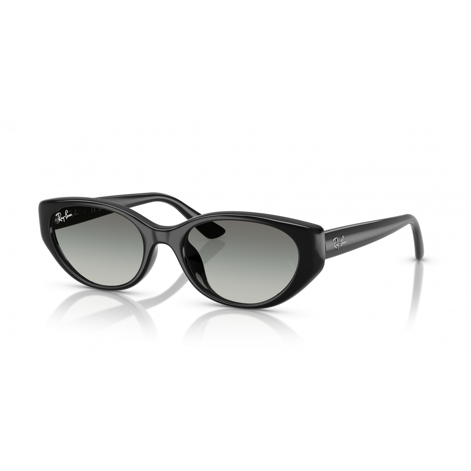 Ray-Ban 0RB4457D