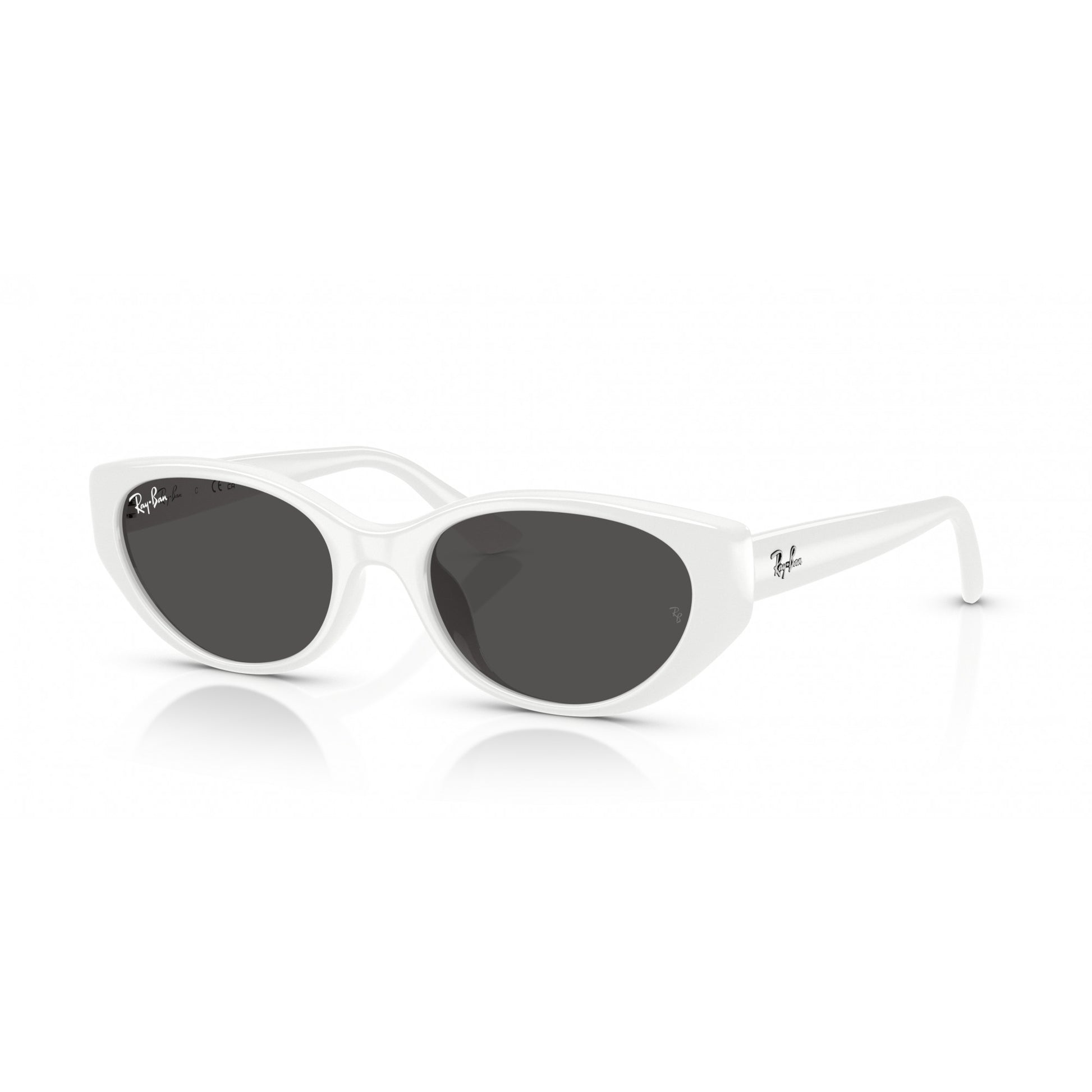 Ray-Ban 0RB4457D
