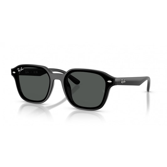 Ray-Ban 0RB4458D