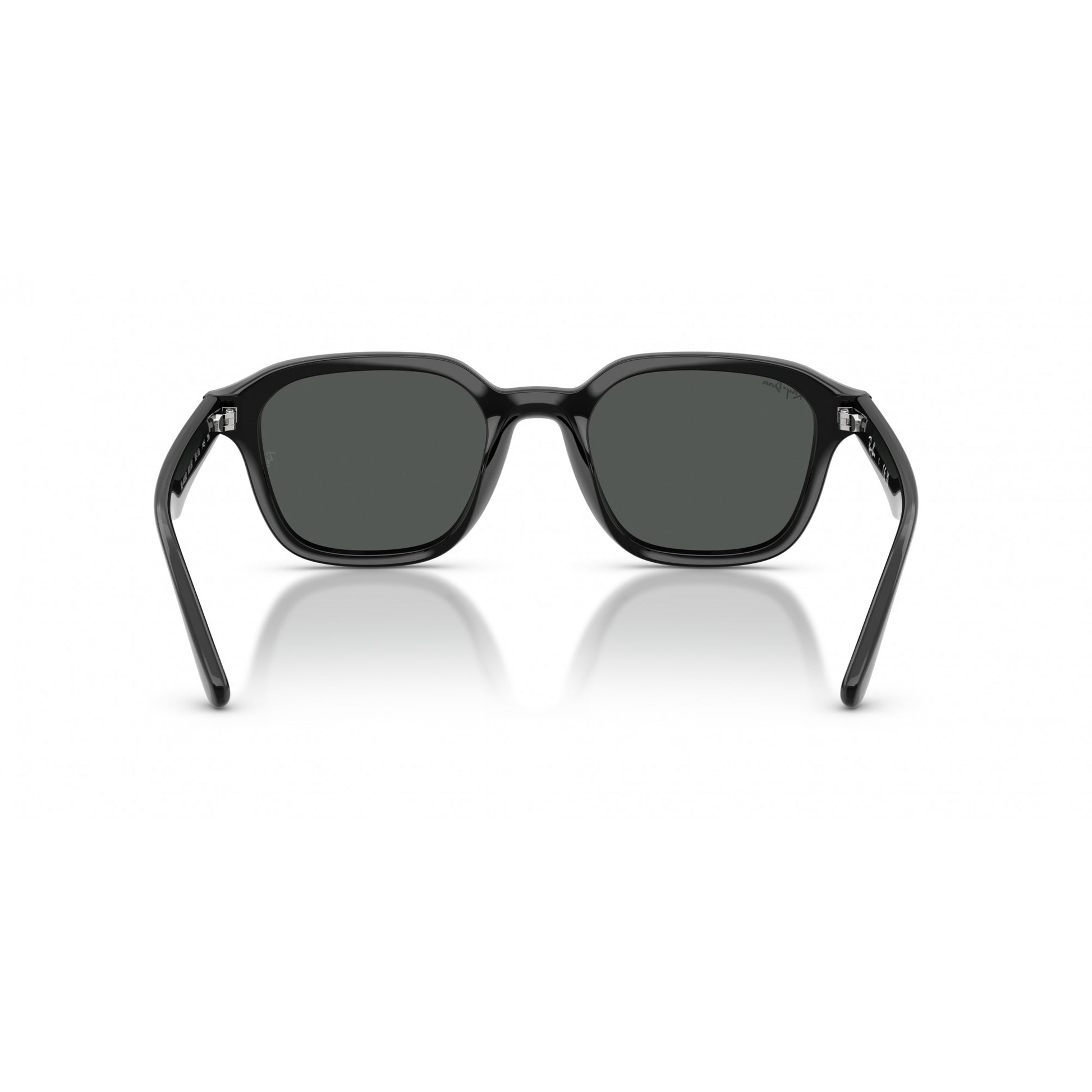 Ray-Ban 0RB4458D
