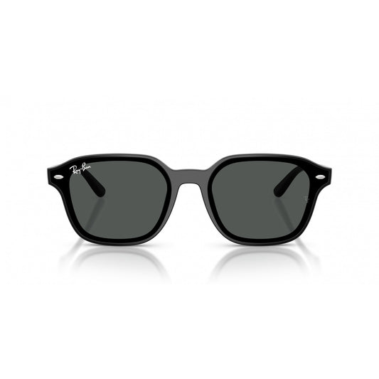 Ray-Ban 0RB4458D