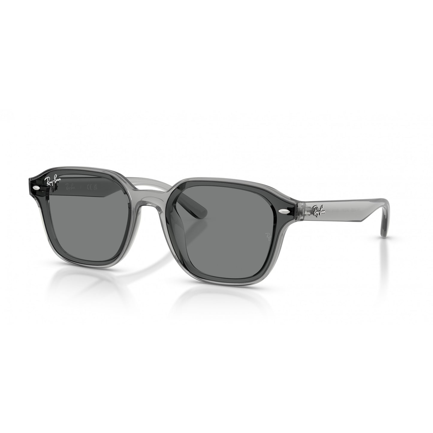 Ray-Ban 0RB4458D