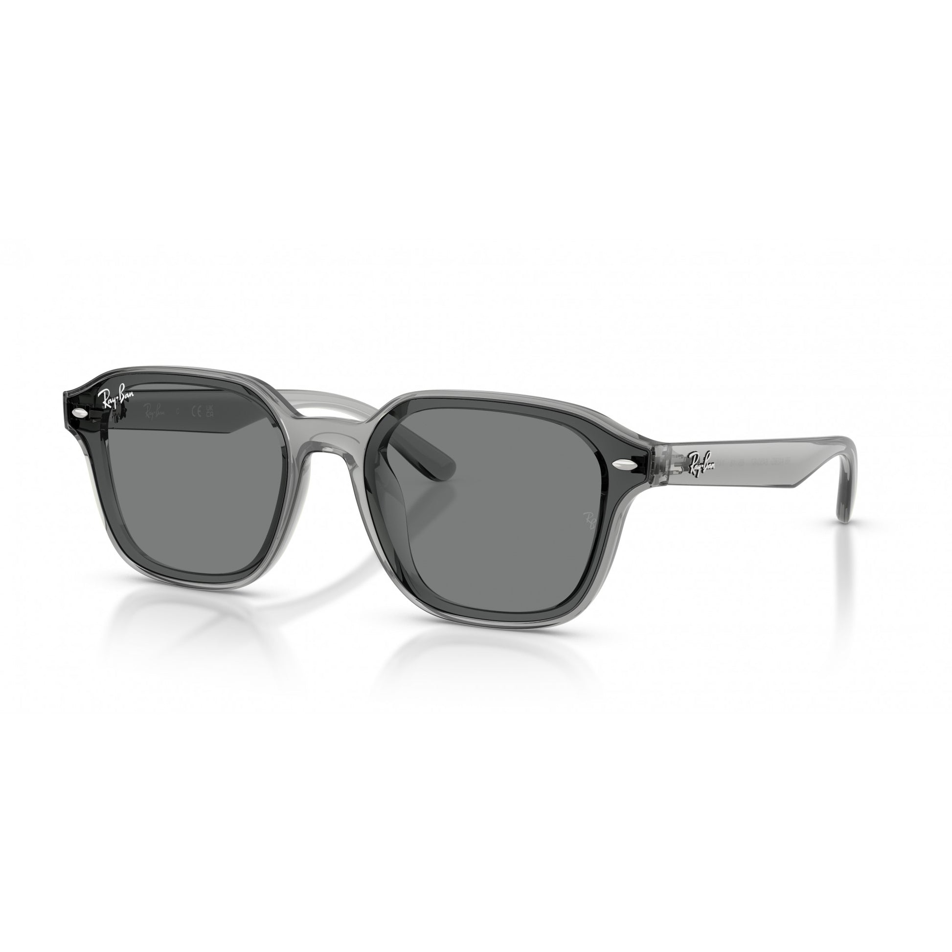 Ray-Ban 0RB4458D