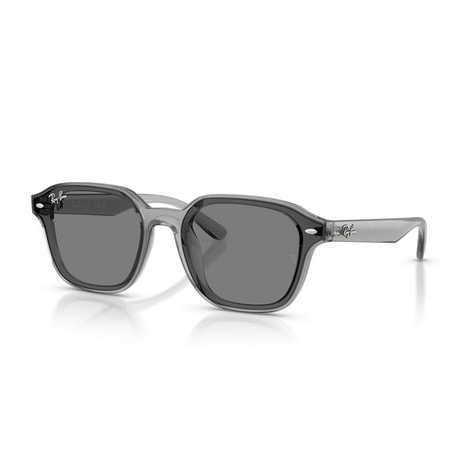 Ray-Ban 0RB4458D