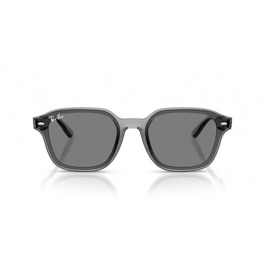 Ray-Ban 0RB4458D