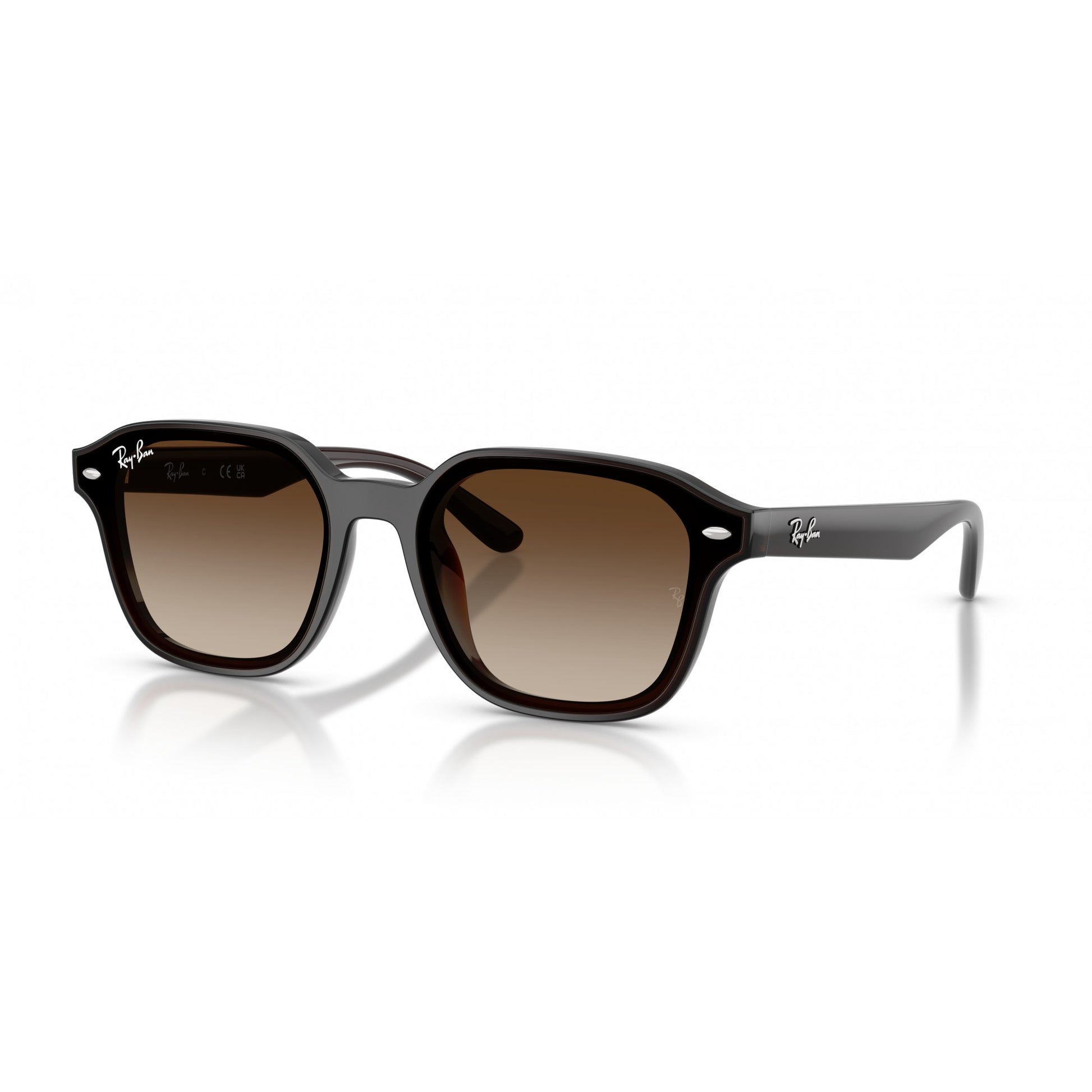 Ray-Ban 0RB4458D