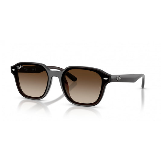 Ray-Ban 0RB4458D