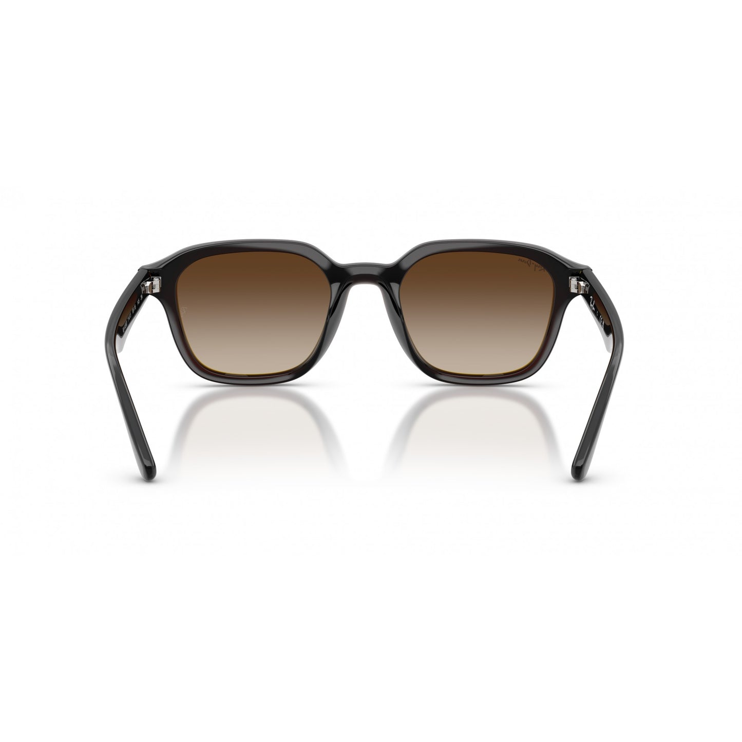 Ray-Ban 0RB4458D