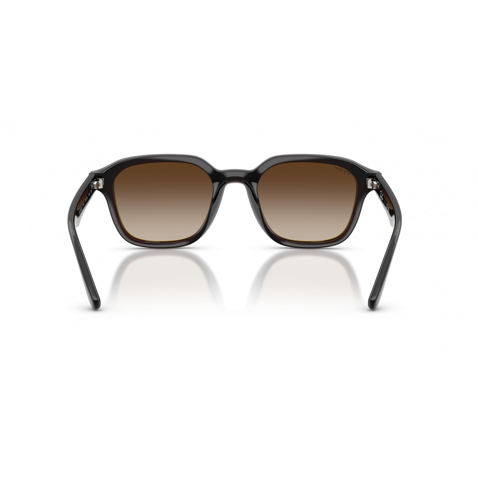 Ray-Ban 0RB4458D
