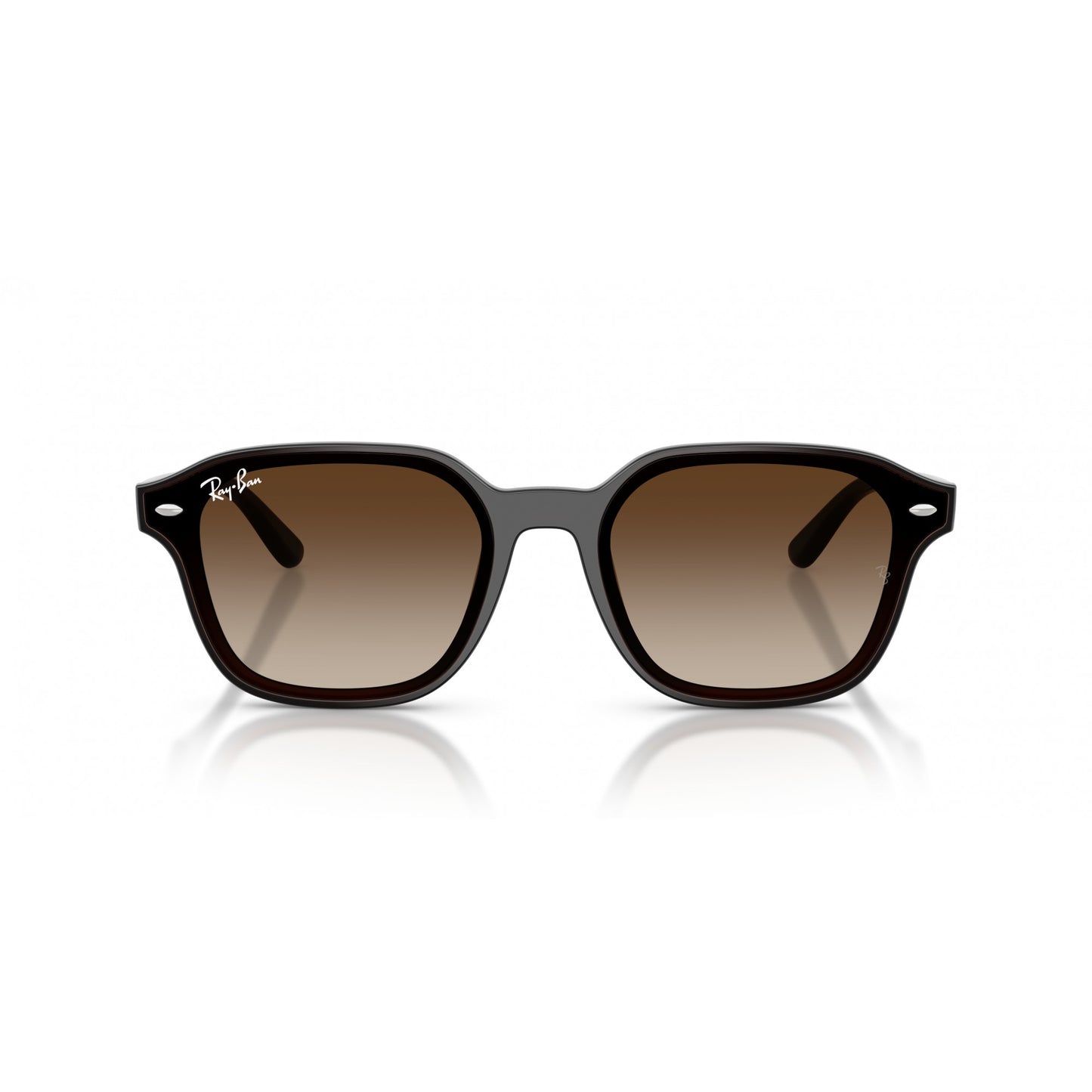 Ray-Ban 0RB4458D