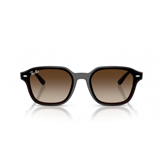 Ray-Ban 0RB4458D