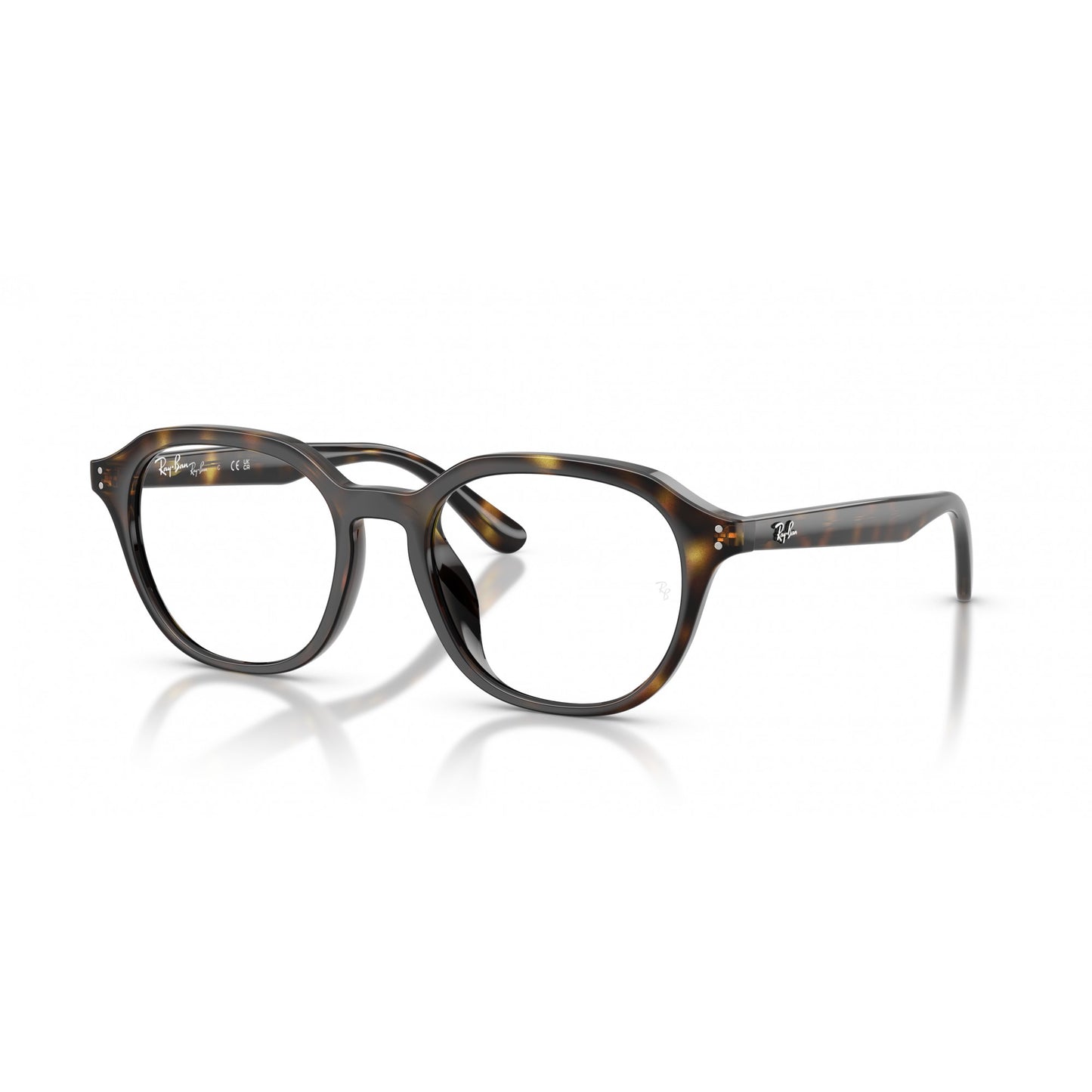 Ray-Ban 0RX7259D