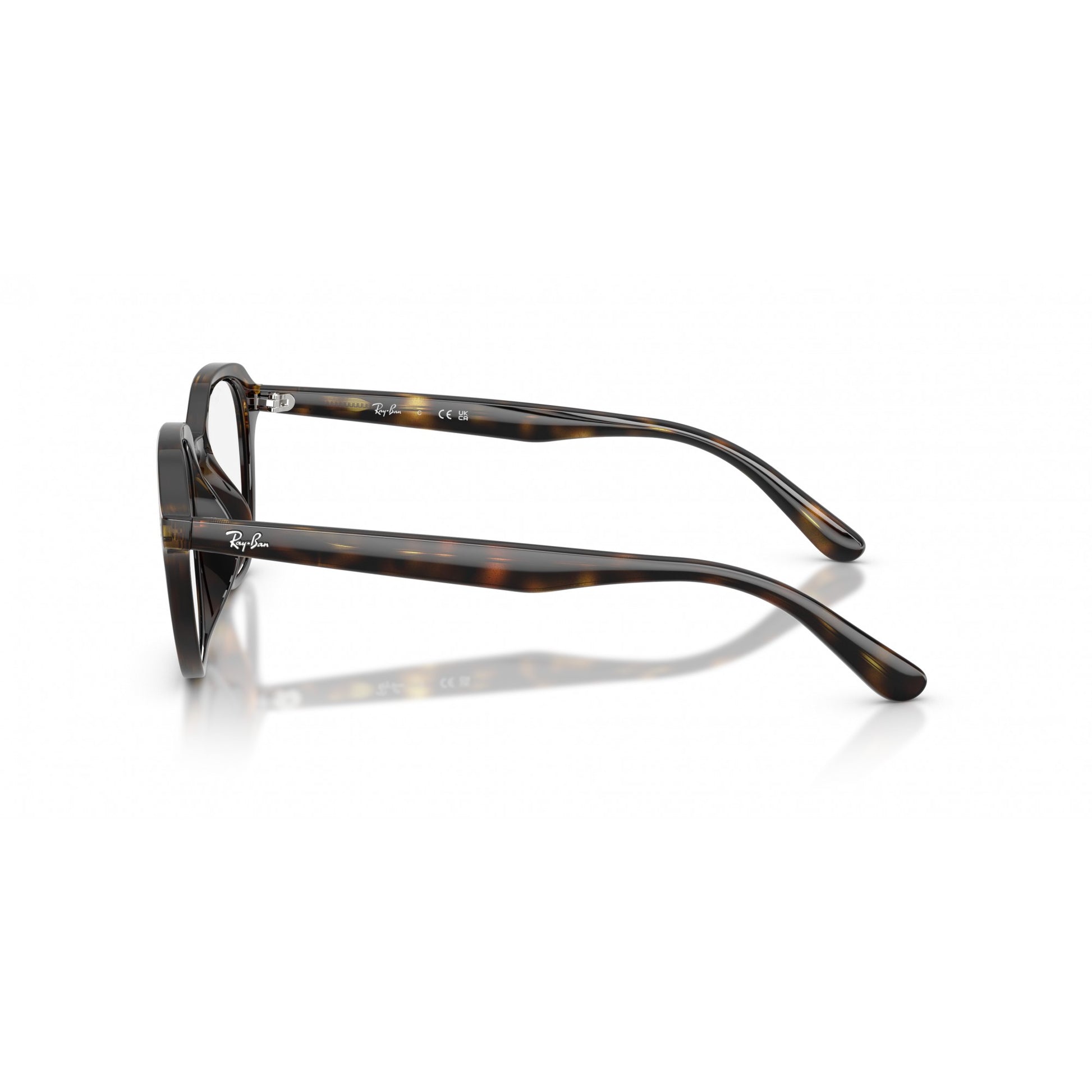 Ray-Ban 0RX7259D