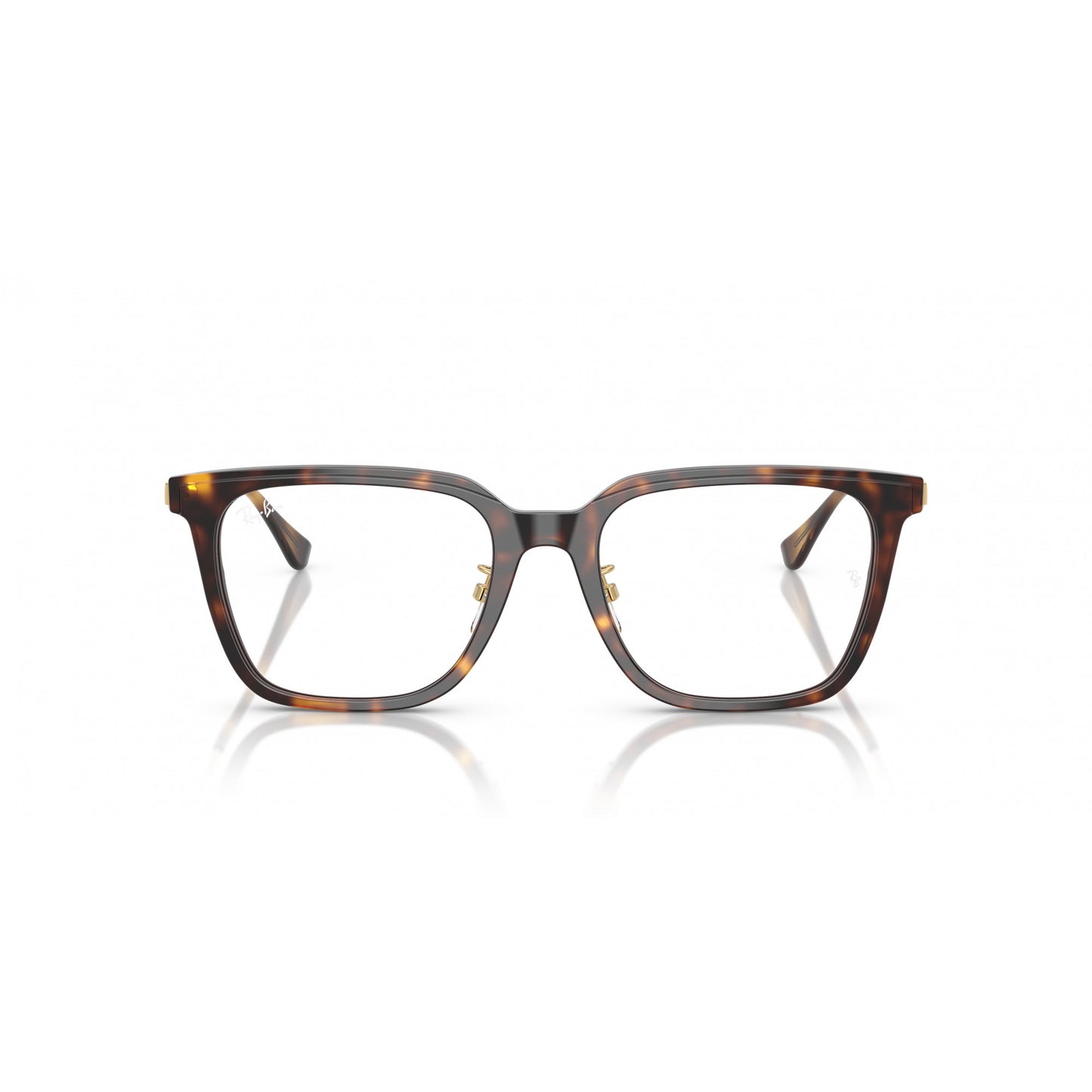 Ray-Ban 0RX5442D
