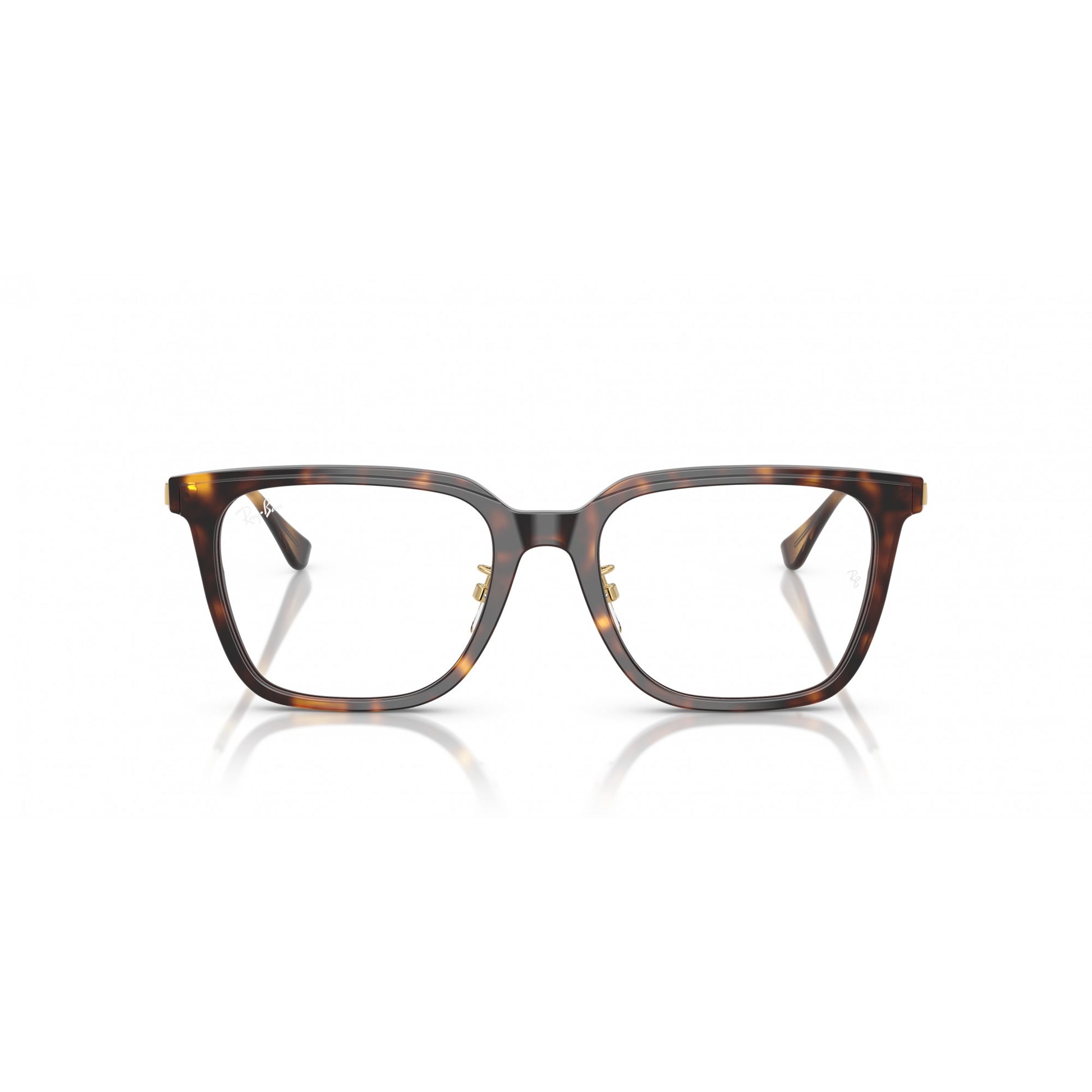 Ray-Ban 0RX5442D
