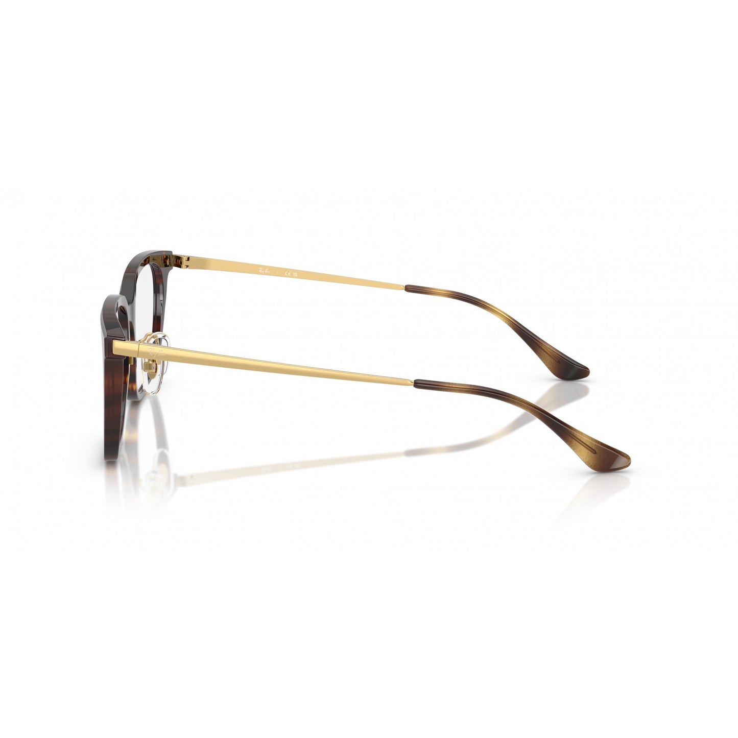 Ray-Ban 0RX5442D