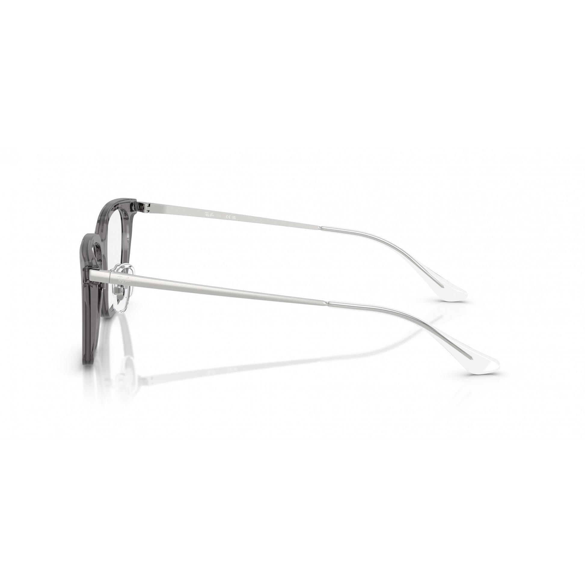 Ray-Ban 0RX5442D