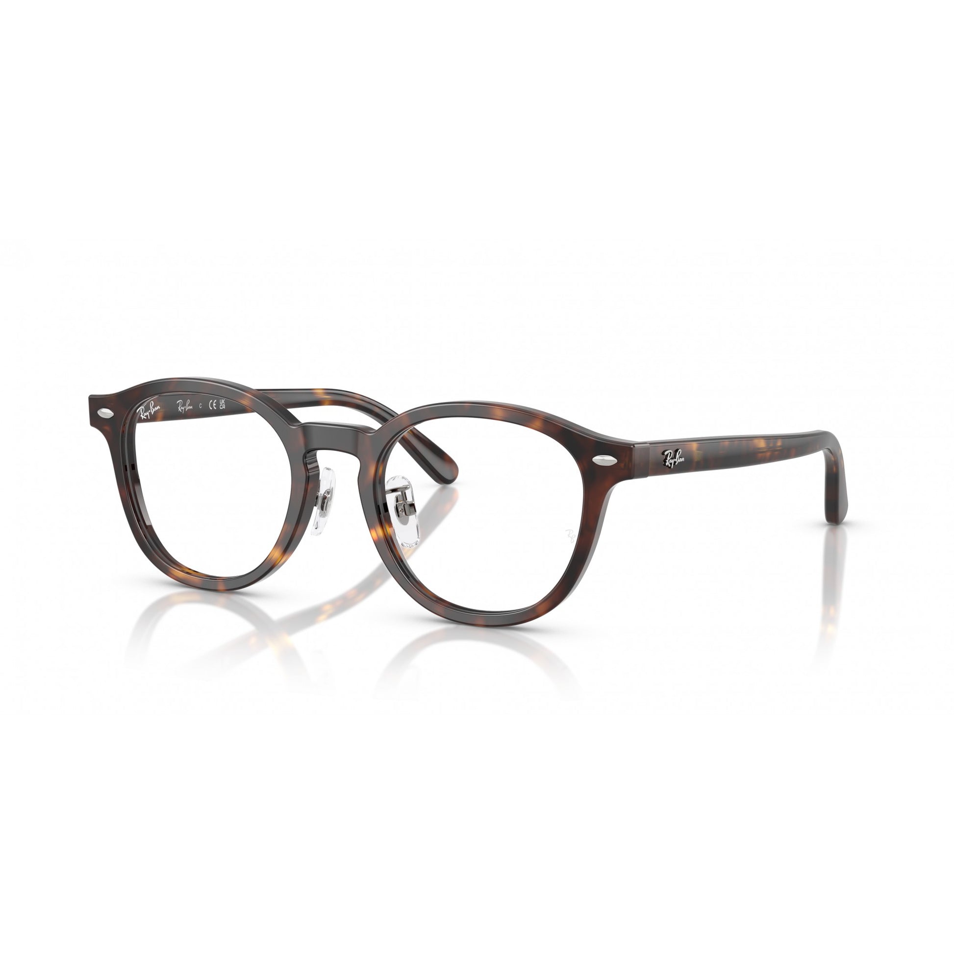 Ray-Ban 0RX5443D