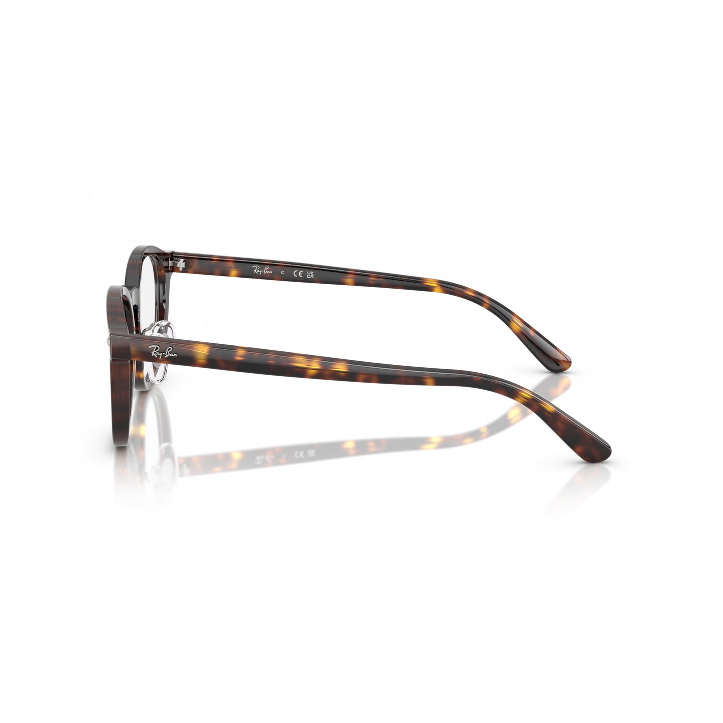 Ray-Ban 0RX5443D