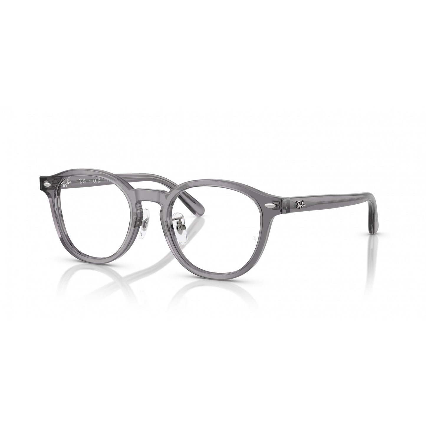 Ray-Ban 0RX5443D