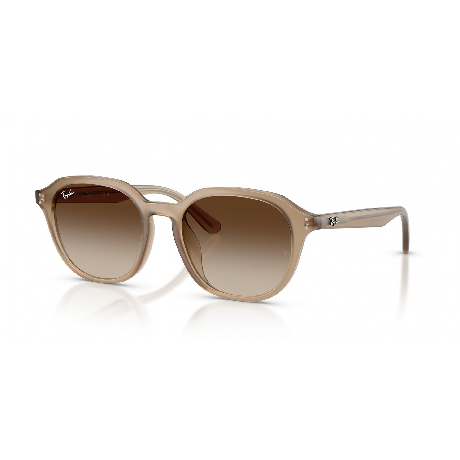 Ray-Ban 0RB4459D