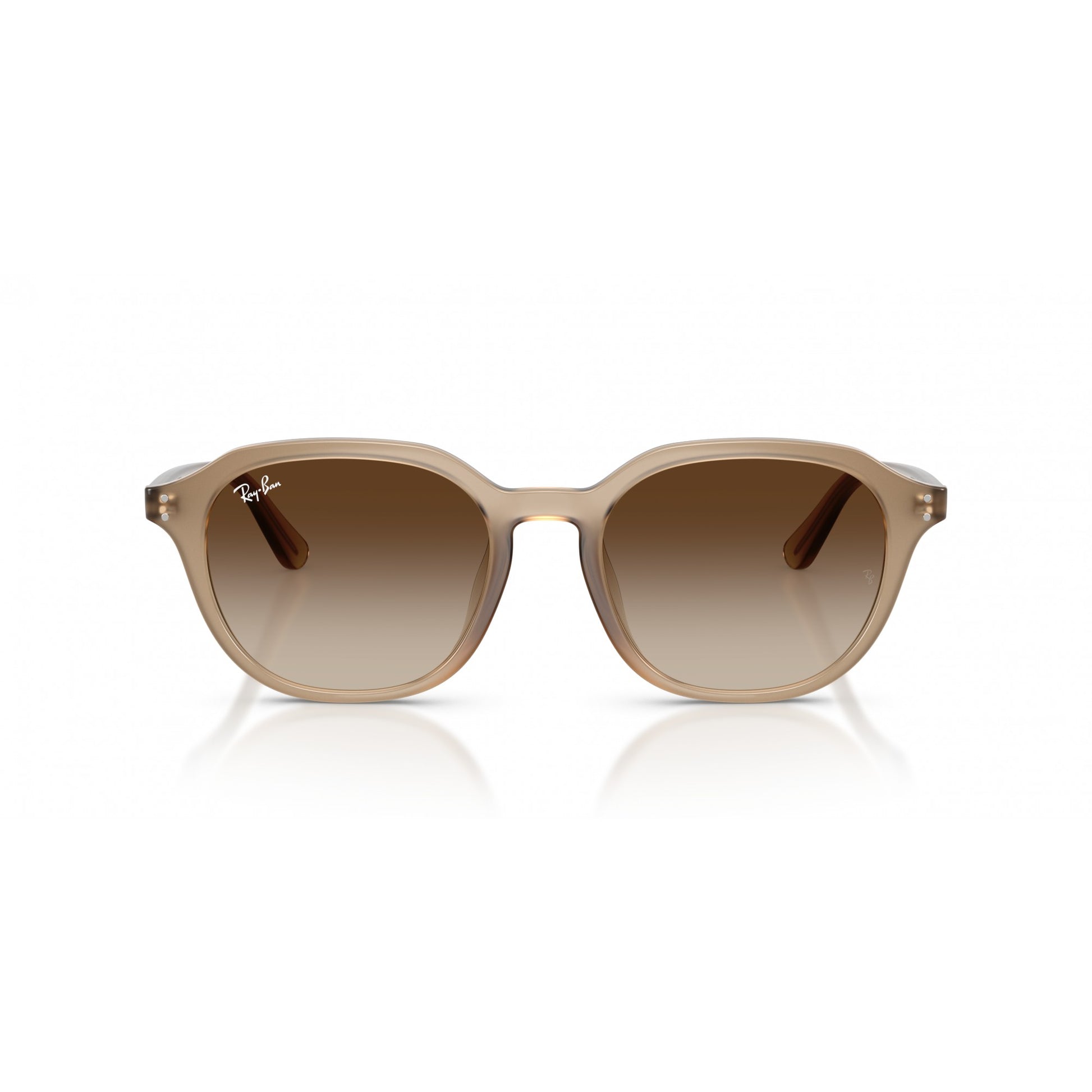 Ray-Ban 0RB4459D