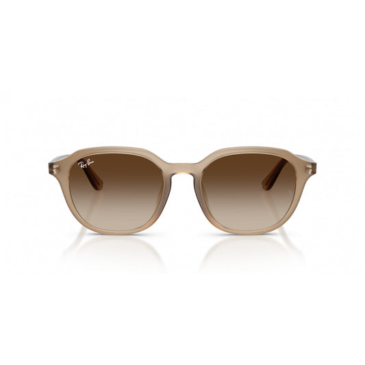 Ray-Ban 0RB4459D
