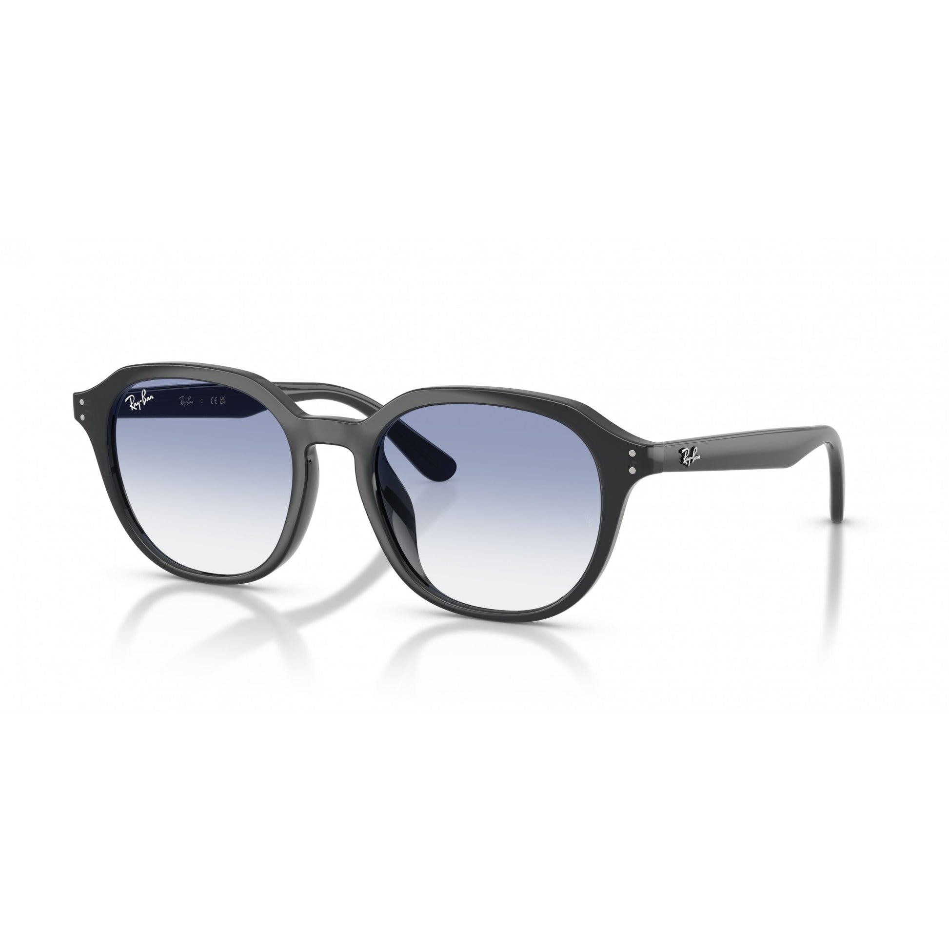Ray-Ban 0RB4459D